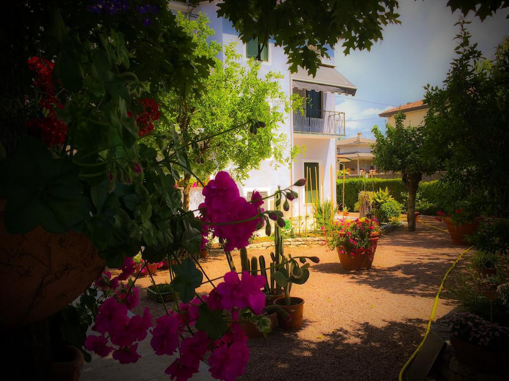 Bed & Breakfast Don Carlos San Martino di Lupari Eksteriør bilde